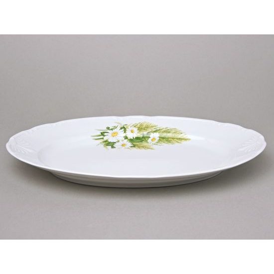 Dish flat oval 32 cm, Thun 1794, karlovarský porcelán, CONSTANCE 80262 Daisy
