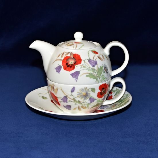 Anglická louka: Čajová sada 3 díl., Tea for One set, anglický kostní porcelán Roy Kirkham