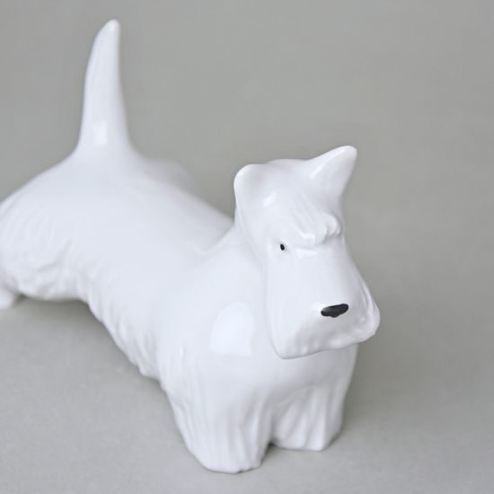 Pes Kníráč, 16,5 x 6,5 x 9,5 cm, bílé, Porcelánové figurky Duchcov