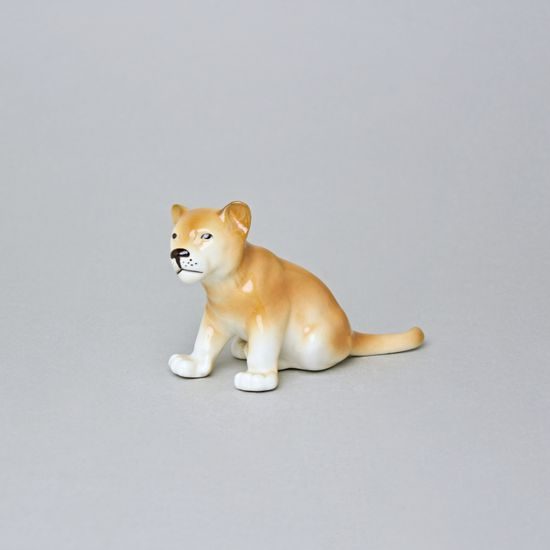 Lvíče 13 x 8 x 6 cm, Luxor, Porcelánové figurky Duchcov