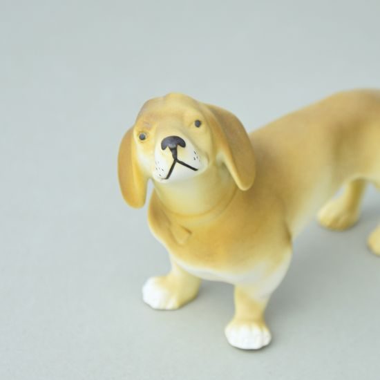 Dachshound 16,5 x 6 x 8,5 cm, Porcelain Figures Duchcov