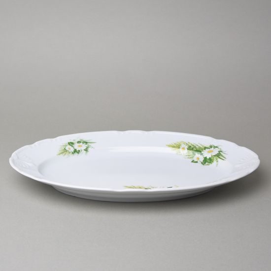 Dish oval 35 cm, Thun 1794, karlovarský porcelán, CONSTANCE 80262 daisy