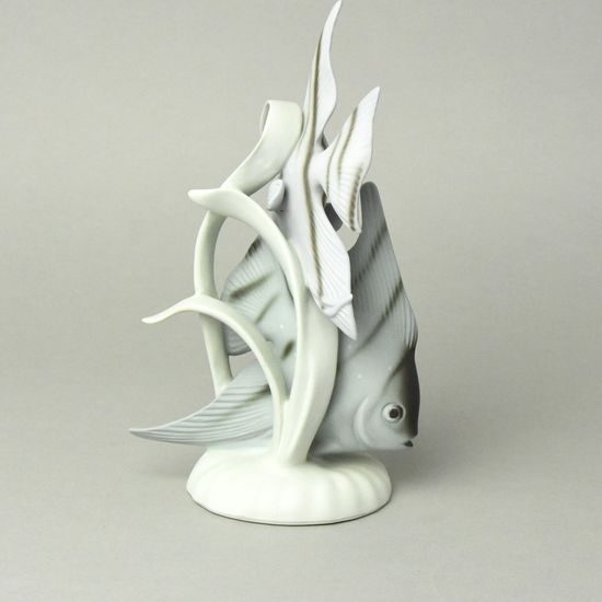 Angelfish (Pterophyllum), 15,5 x 9,5 x 25,5 cm, Pastel, Porcelain Figures Duchcov