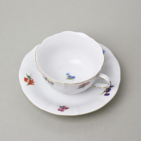 Cup and saucer mirror C/1 plus ZC1 0,20 l / 15,5 cm for tea, Hazenka, Cesky porcelan a.s.