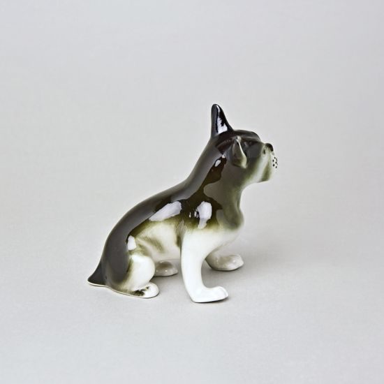 Buldok 13 x 7,5 x 12 cm, Luxor, Porcelánové figurky Duchcov, 2.j.