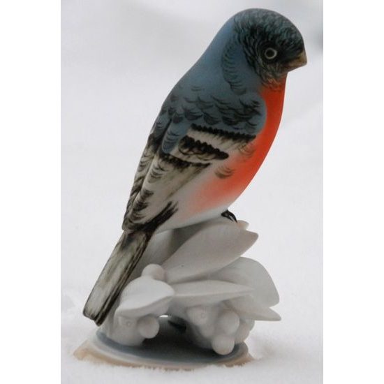 Bullfinch bird 12,5 x 10,5 x 19,5 cm, Porcelain Figures Duchcov