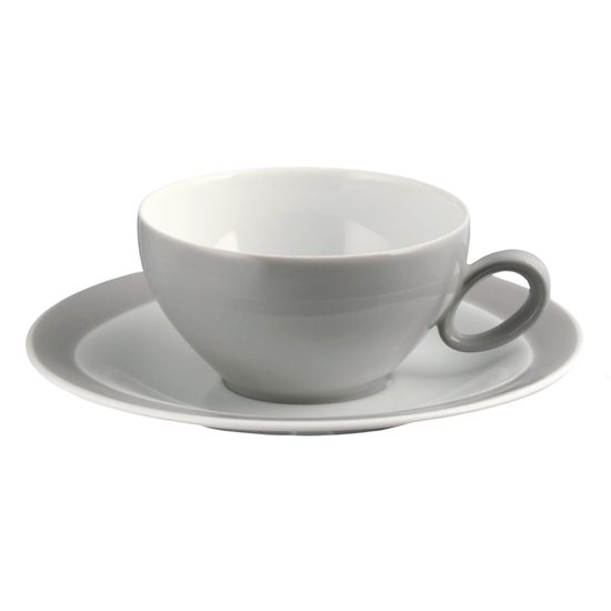 Tea cup and saucer, Trio 23613 Stone Grey, Seltmann Porcelain