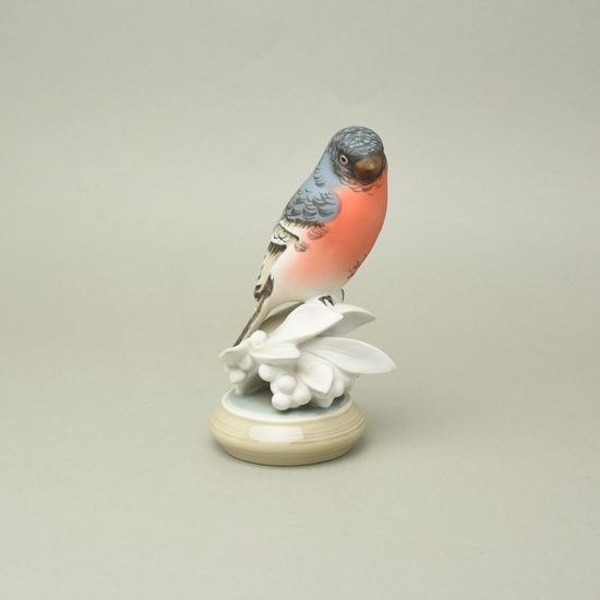 Bullfinch bird 12,5 x 10,5 x 19,5 cm, Porcelain Figures Duchcov