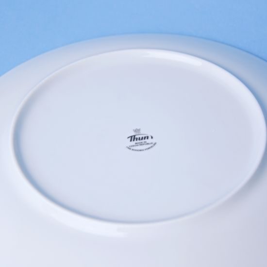 Plate dining 21 cm Submarine, Thun 1794, karlovarský porcelán