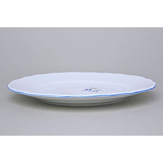 Plate dining 26 cm (one goose), Cesky porcelan a.s., Goose