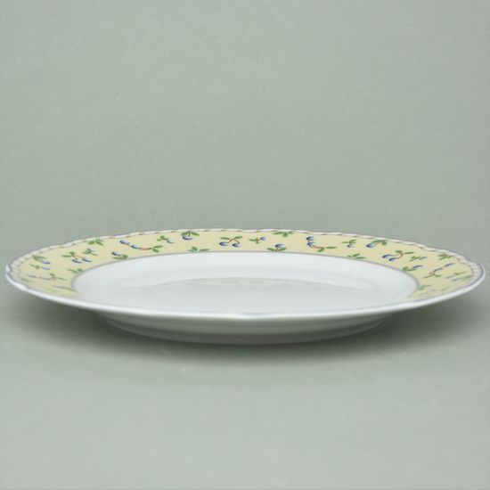 Rose 80147: Talíř mělký 26 cm, Thun 1794, karlovarský porcelán