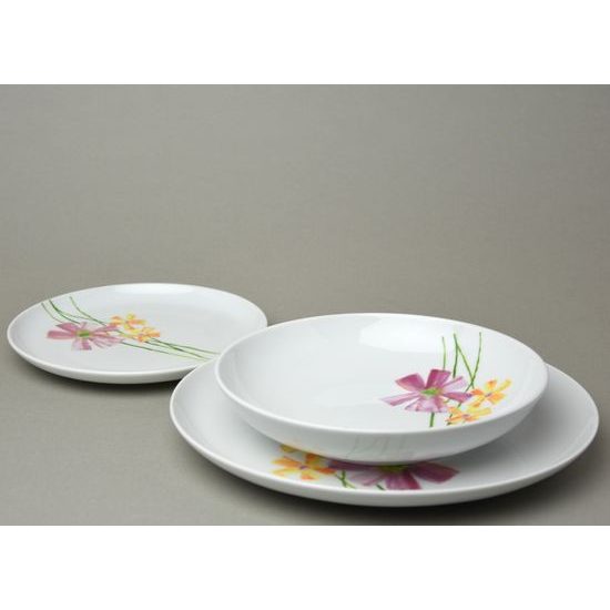 Plate set for 6 persons, Thun 1794 Carlsbad porcelain, TOM 29952