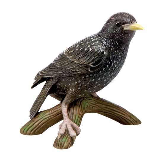 Bird of the Year 2018 - Starling 12 cm, porcelain, Goebel
