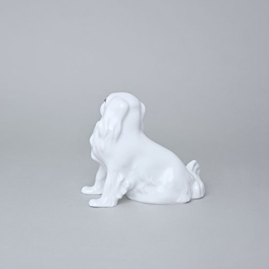 Pes Kavalír king Charles španěl, 13 x 7,2 x 11 cm, bílé, Porcelánové figurky Duchcov