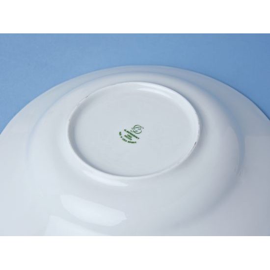 Plate deep 24 cm, Verona Q0072, G. Benedikt 1882