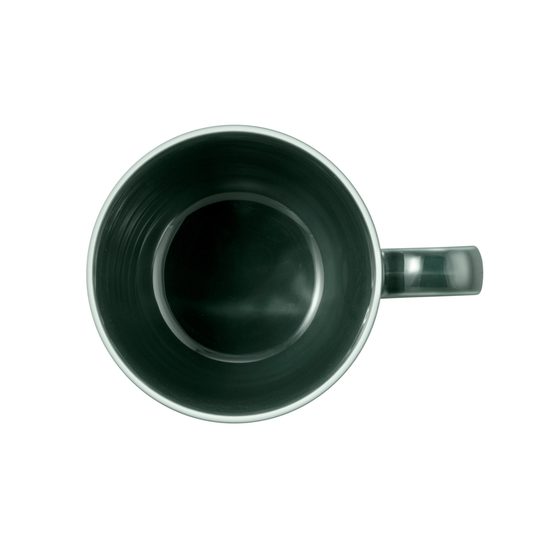 Terra MOSS GREEN: Šálek 260 ml, porcelán Seltmann