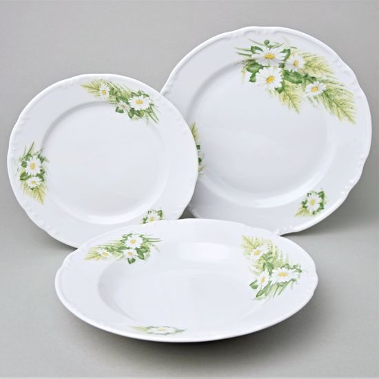 Talířová souprava pro 6 osob, Thun 1794, karlovarský porcelán, CONSTANCE 80262 kopretiny