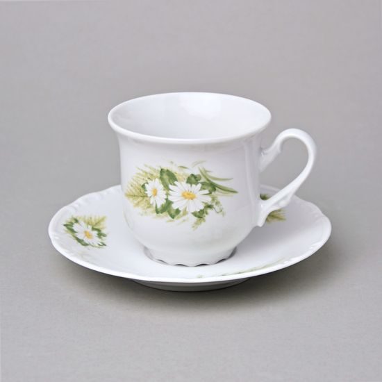Šálek a podšálek čajový 0,2 l / 14,5 cm, Thun 1794, karlovarský porcelán, CONSTANCE 80262 kopretiny