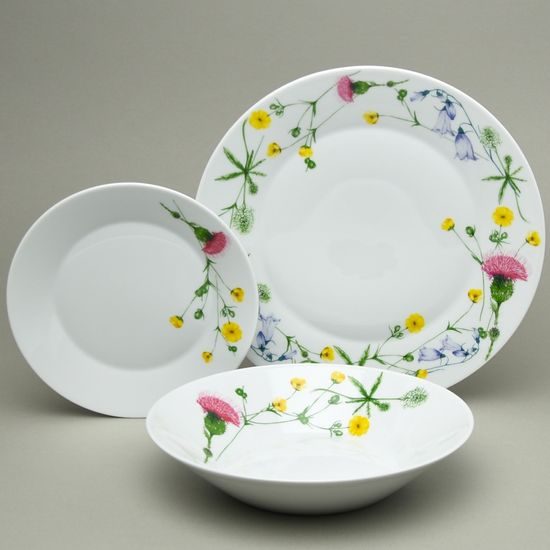 Tom Thistle: Plate set for 4 pers., Thun 1794, karlovarský porcelán