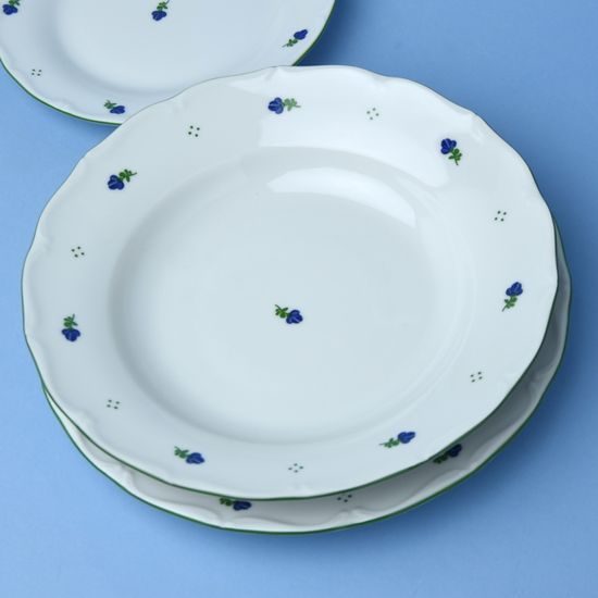 Plate set for 6 pers. 25,24,19, Verona blue flowers + green, G. Benedikt 1882