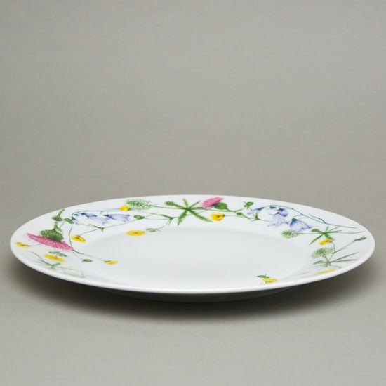 Tom Thistle: Dinner plate 27 cm, Thun 1794, karlovarský porcelán
