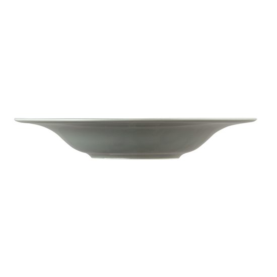 Beat perleťová šedá: Talíř mělký 27,5 cm, porcelán Seltmann
