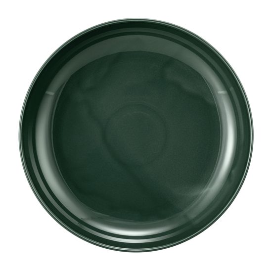 Terra MOSS GREEN: Mísa 28 cm, porcelán Seltmann