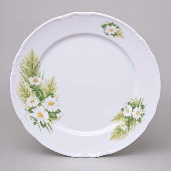 Talíř mělký 26 cm, Thun 1794, karlovarský porcelán, CONSTANCE 80262 kopretiny