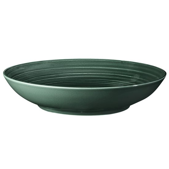 Terra MOSS GREEN: Talíř na těstoviny 26 cm, porcelán Seltmann