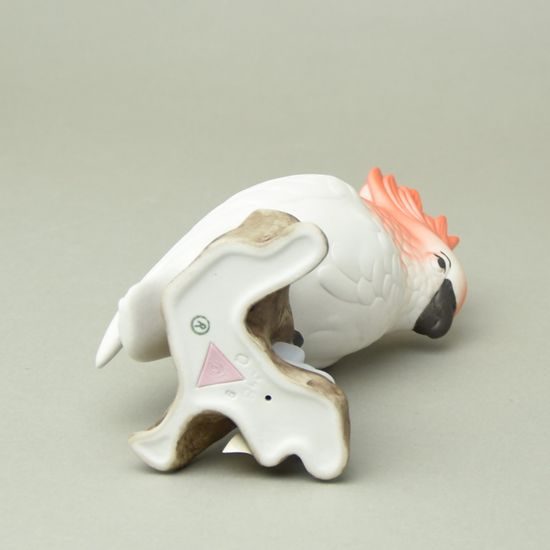 Papoušek 18 cm, pastel, Porcelánové figurky Duchcov
