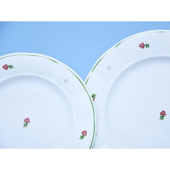 Plate set for 6 pers., 24,24,19, Benedikt red flowers + green, G. Benedikt 1882