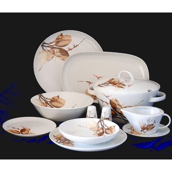 Dining set for 6 persons, Thun 1794 Carlsbad porcelain, TOM 29971