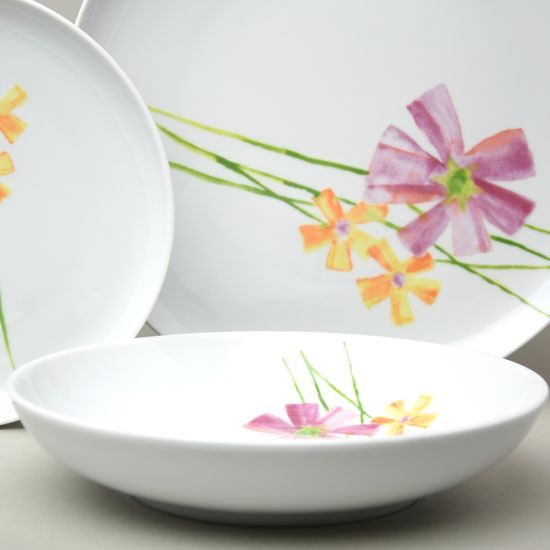 Plate set for 6 persons, Thun 1794 Carlsbad porcelain, TOM 29952