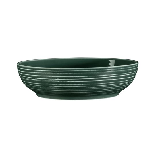 Terra MOSS GREEN: Mísa 25 cm, porcelán Seltmann