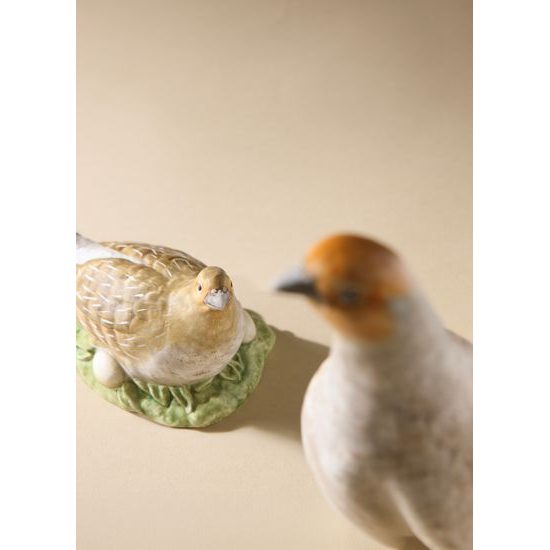 Figurka koroptev 6,5 / 10,5 / 11,5 cm, biskvitový porcelán, pták roku 2026, Goebel