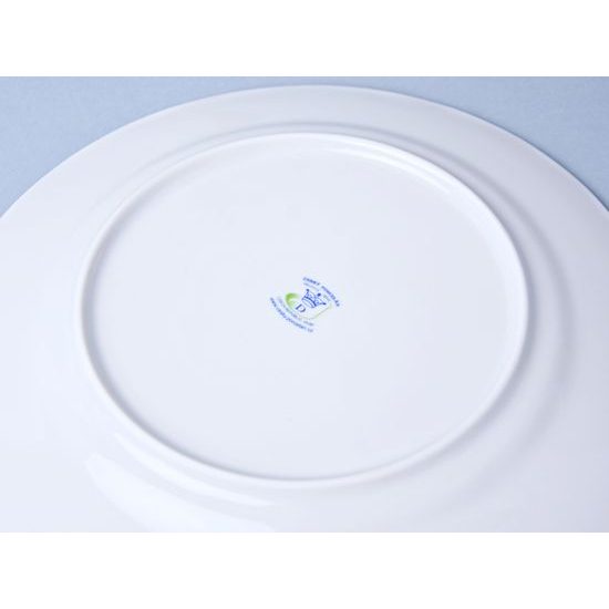 Plate dining 26 cm, White with blue line, Cesky porcelan a.s.