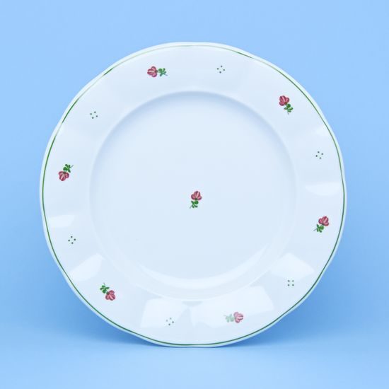 Talíř mělký 24 cm, Benedikt červené kvítí + zelená, G. Benedikt 1882