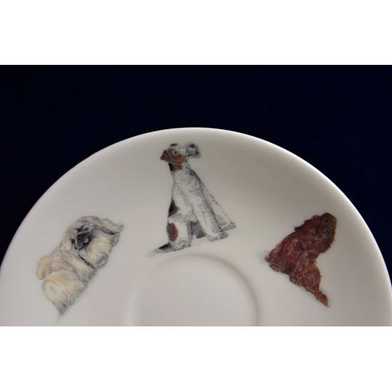 Dogs: Cup 420 ml and saucer breakfast, English Fine Bone China, Roy Kirkham