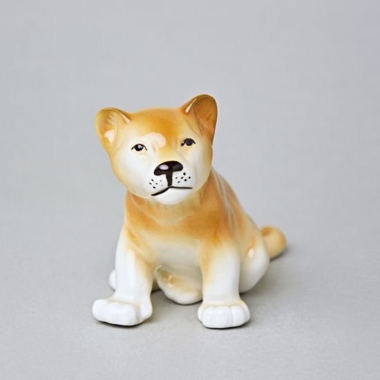 Lvíče 13 x 8 x 6 cm, Luxor, Porcelánové figurky Duchcov