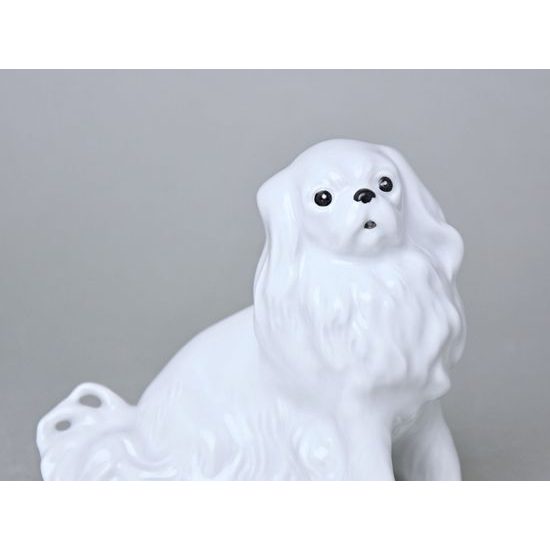Pes Kavalír king Charles španěl, 13 x 7,2 x 11 cm, bílé, Porcelánové figurky Duchcov