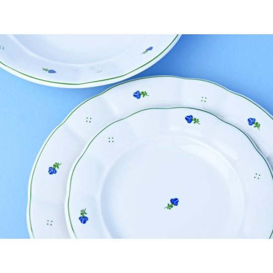 Plate set for 6 pers., 26,24,19, Benedikt blue flowers, G. Benedikt 1882