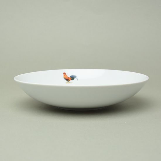 KOHOUT: Talíř hluboký ELEGANCE 22 cm,Thun 1794 a.s.