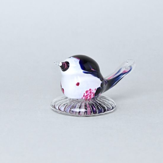 Bird, Pačinek GLASS