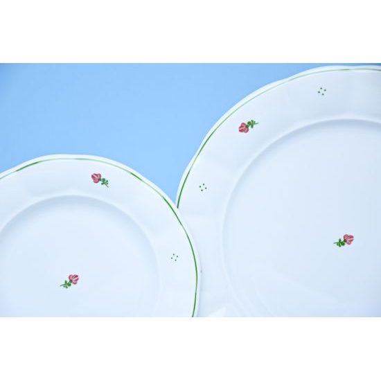 Plate set for 6 pers., 26, 24, 19, red flower + green, G. Benedikt 1882