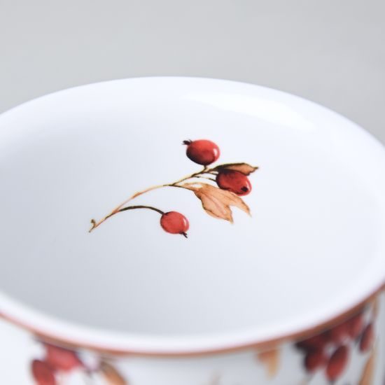 Mug Tina Fantasia, Autumn, 380 ml big, Cesky porcelan a.s.