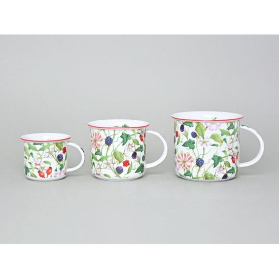 Mug Tina Fantasia, Rosehip And Blackberry, 240 ml, middle, Cesky porcelan a.s.