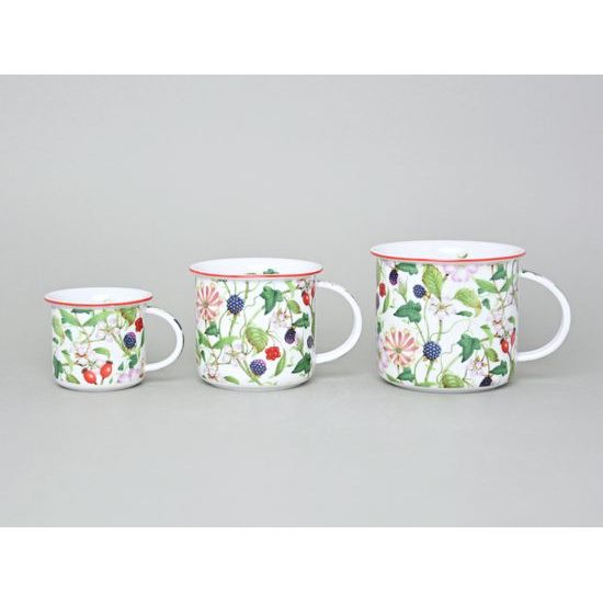 Mug Tina Fantasia, Rosehip And Blackberry, 0,25 l middle, Cesky porcelan a.s.