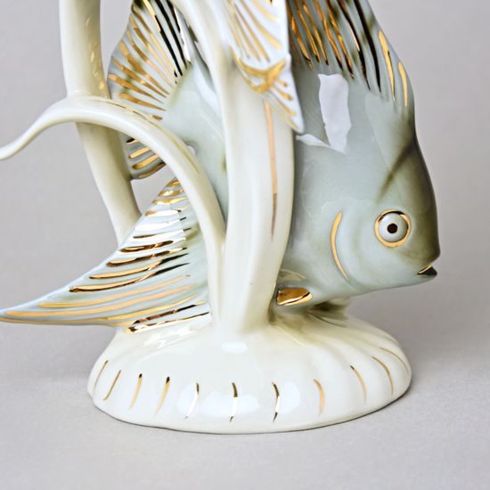 RYBY Skaláry 15,5 x 9,5 x 25,5 cm, Luxor, Porcelánové figurky Duchcov