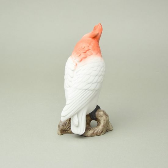 Papoušek 18 cm, pastel, Porcelánové figurky Duchcov