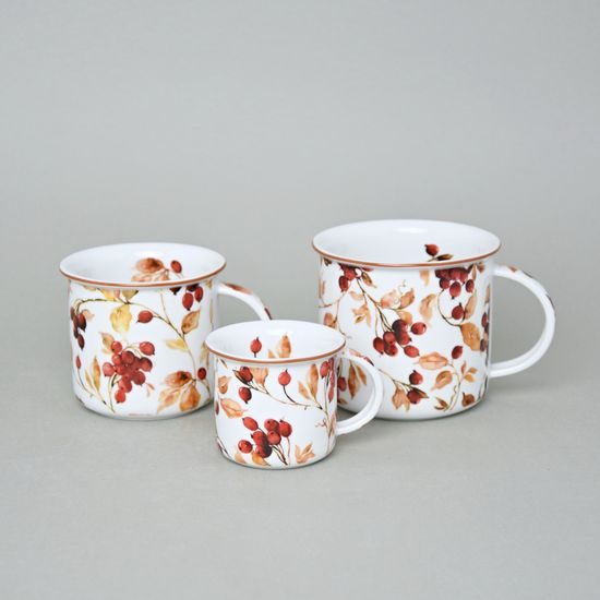Mug Tina Fantasia, Autumn, 240 ml middle, Cesky porcelan a.s.
